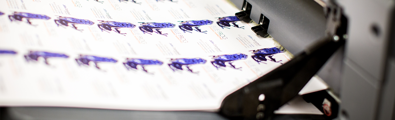 services-page-header.png